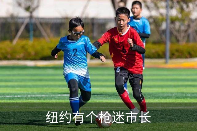 纽约有个枪迷市长